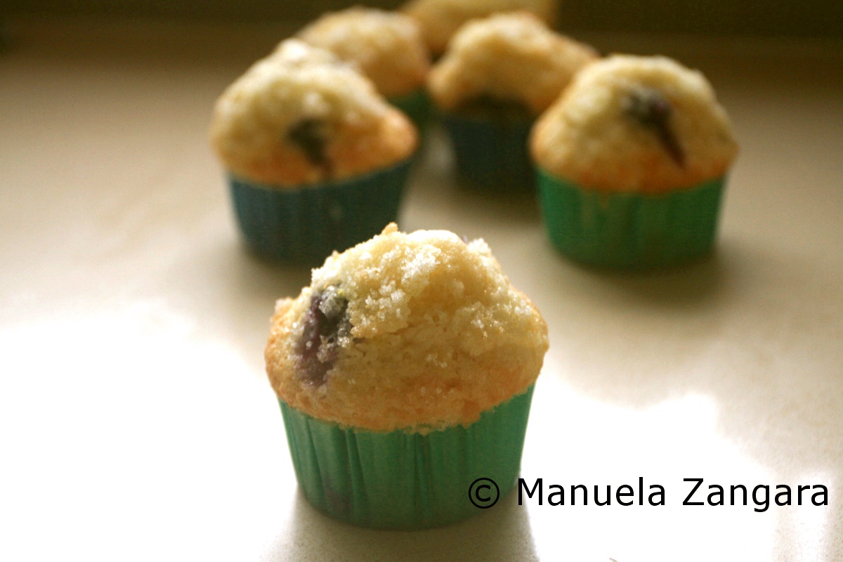 Light and fluffy blueberry muffins with a lemon sugar crust topping