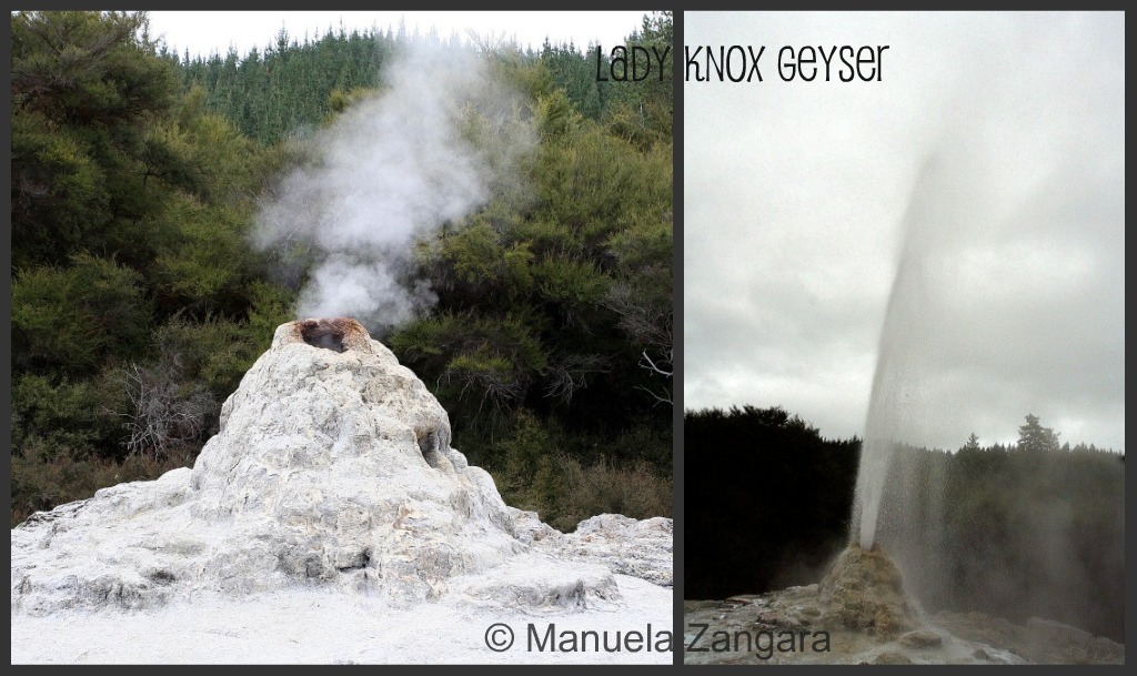 Lady Knox Geyser