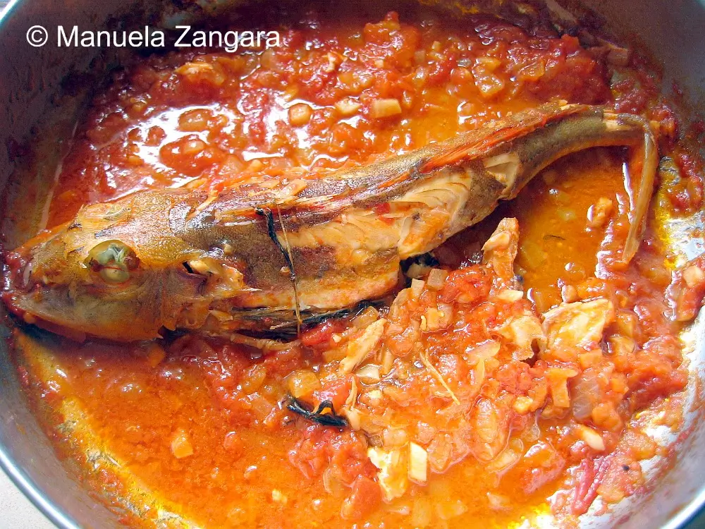 Cooked gurnard sitting in tomato sauce after simmering.