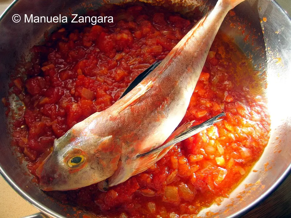 Whole gurnard placed on top of softened tomatoes and onions in the pan.