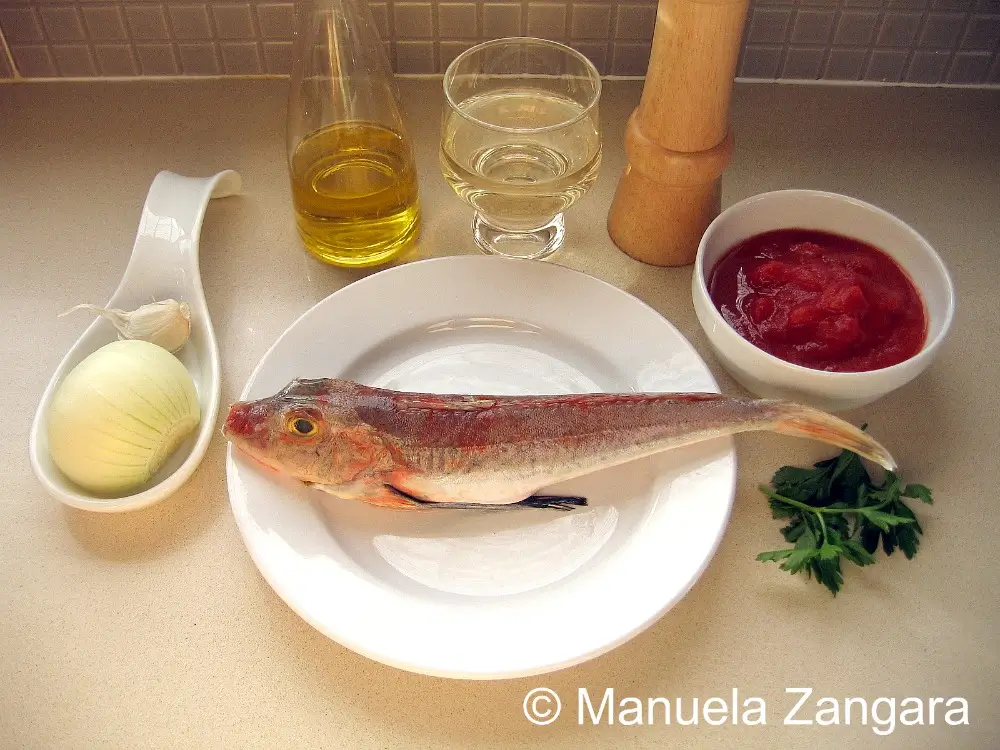 Ingredients for pasta with fish sauce recipe arranged on a counter.
