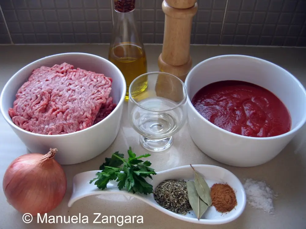 IMG_0456 Ingredients for the meat sauce laid out on the counter.