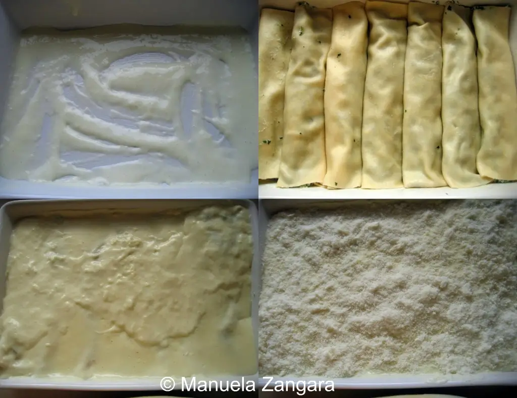 Assembling pasta rolls with béchamel base, filled sheets arranged in a baking dish, and grated cheese on top.