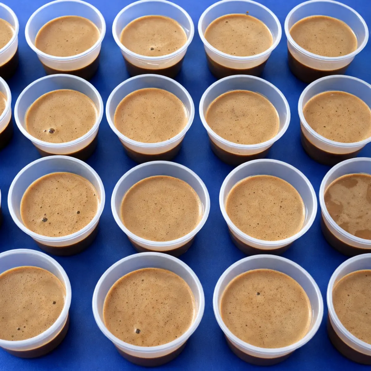 Rows of small cups filled with chocolate panna cotta mixture setting evenly.