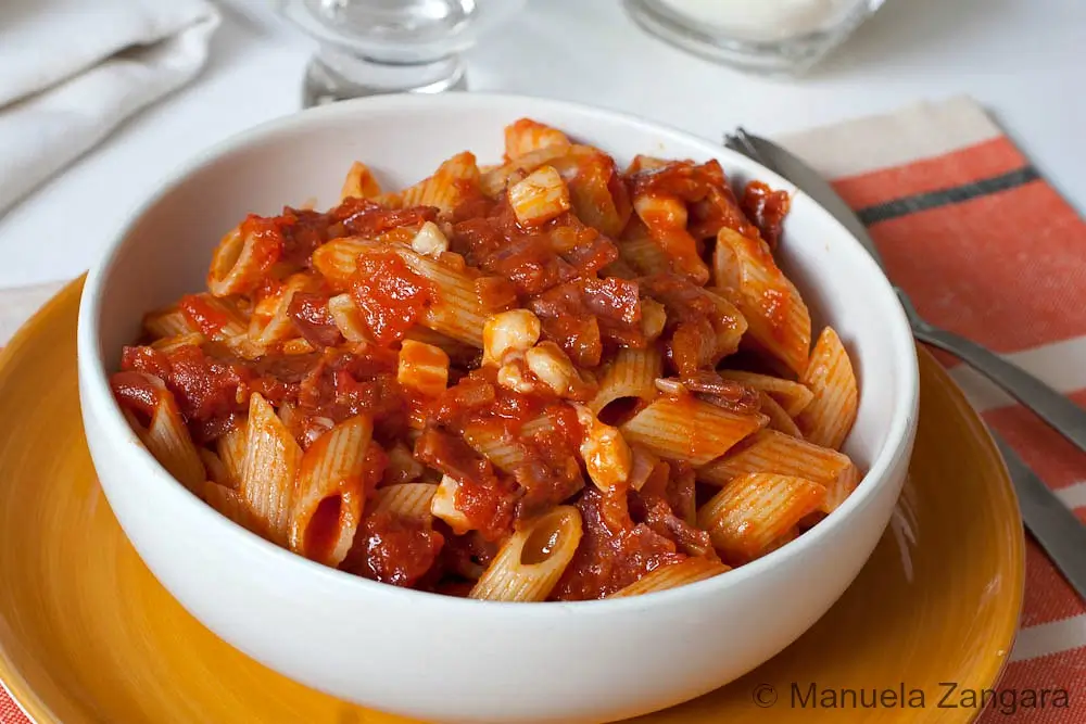 Served penne pasta coated in tomato sauce with chunks of salami and soft melted provolone.