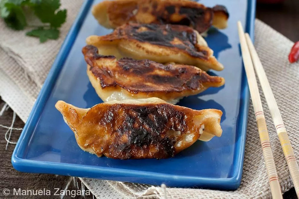 Pan-fried Kothey Momos arranged on a blue plate.