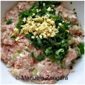 Ground pork, spring onions, and ginger mixture for Kothey Momo filling.