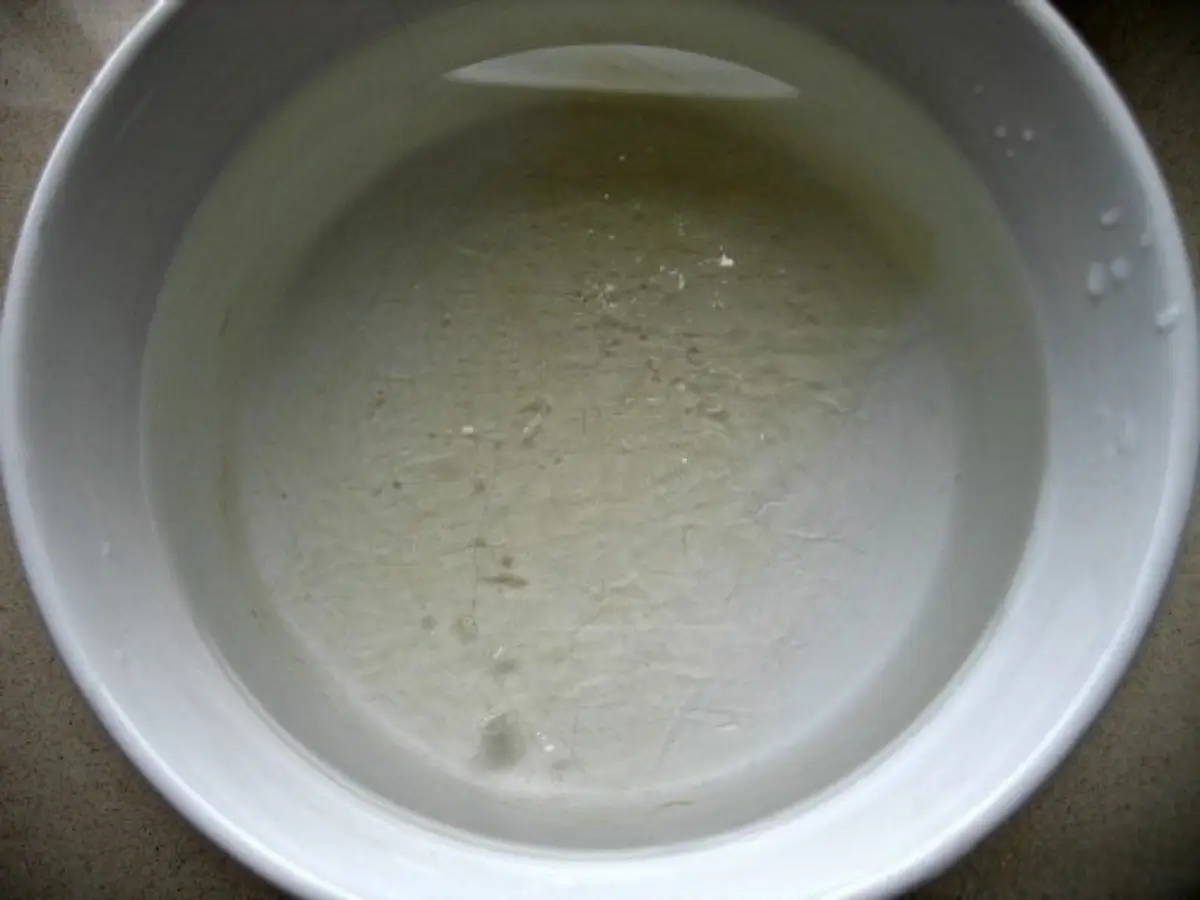 Gelatine sheets soaking in cold water before being added to warm cream.