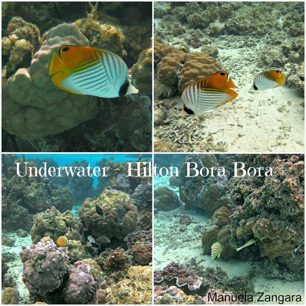 Underwater HBB