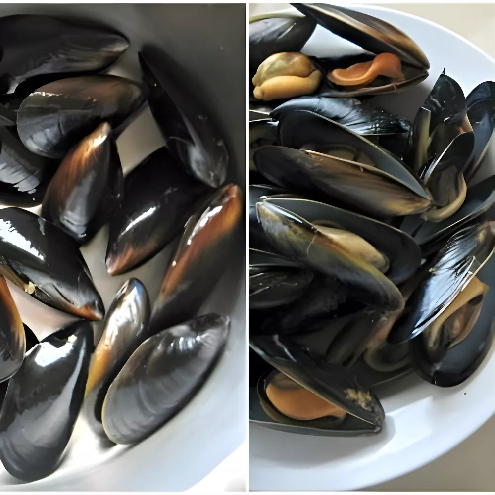 Fresh mussels before and after steaming, showing open shells for Spaghetti with Mussels.