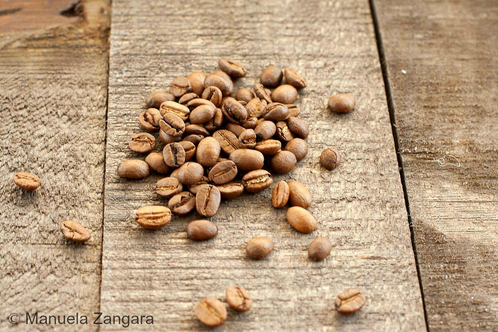 Coffee beans 1 (1 of 1) c