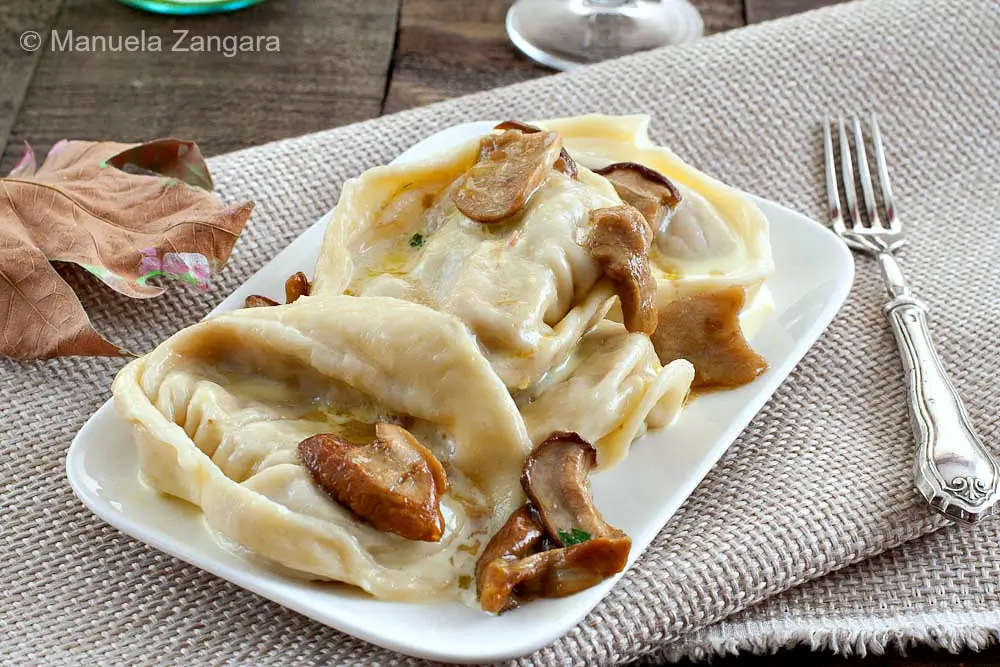 Cappellacci served on a plate with porcini and cream sauce.