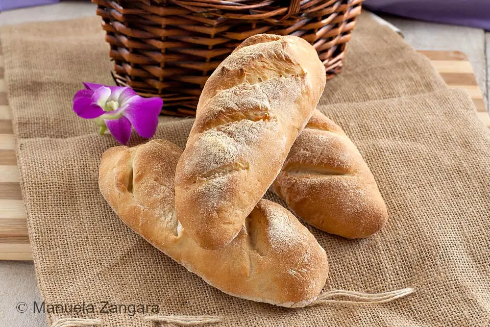 Freshly baked Italian bread rolls arranged on burlap beside a basket.
