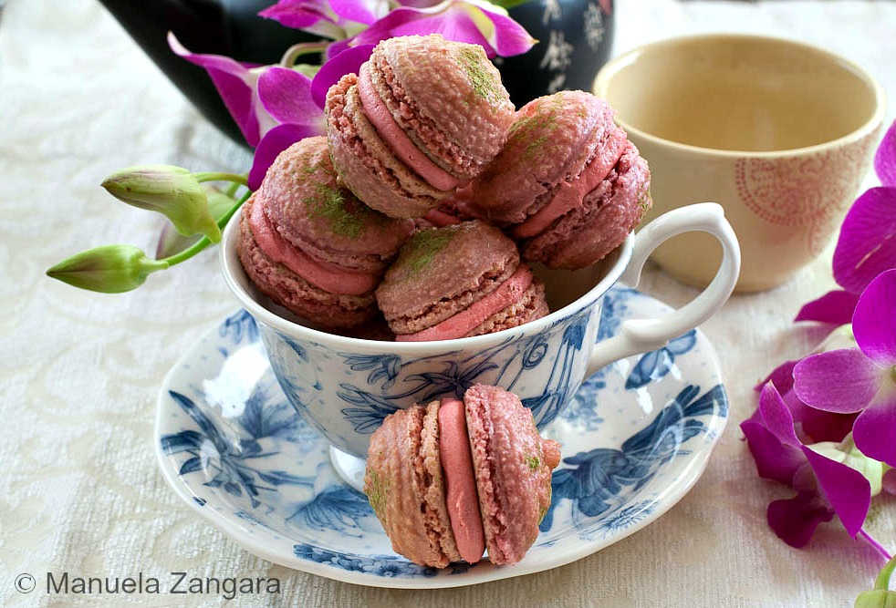 Orchid and Matcha Macarons