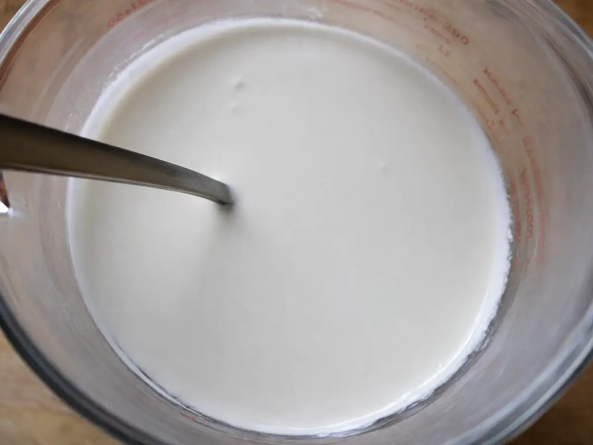 Smooth coconut mixture blended until creamy.