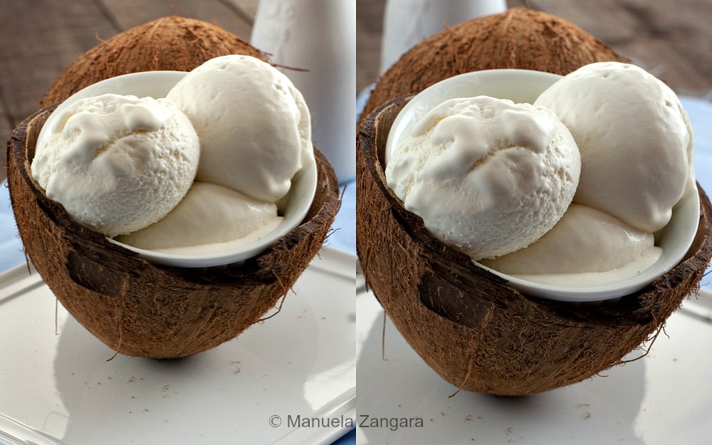 Coconut Ice Cream