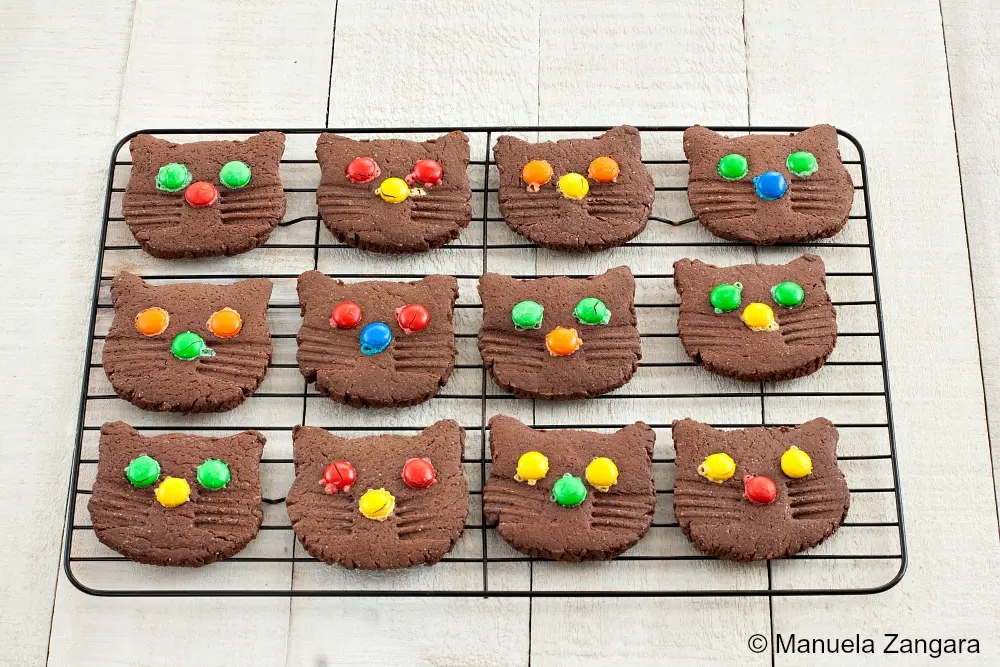 Chocolate cat cookies cooling on a wire rack, decorated with bright candy pieces.