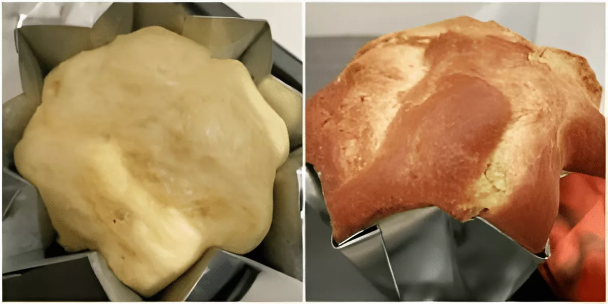 Side-by-side photo showing Pandoro dough after proofing and the same cake after baking, golden brown and risen above the tin.