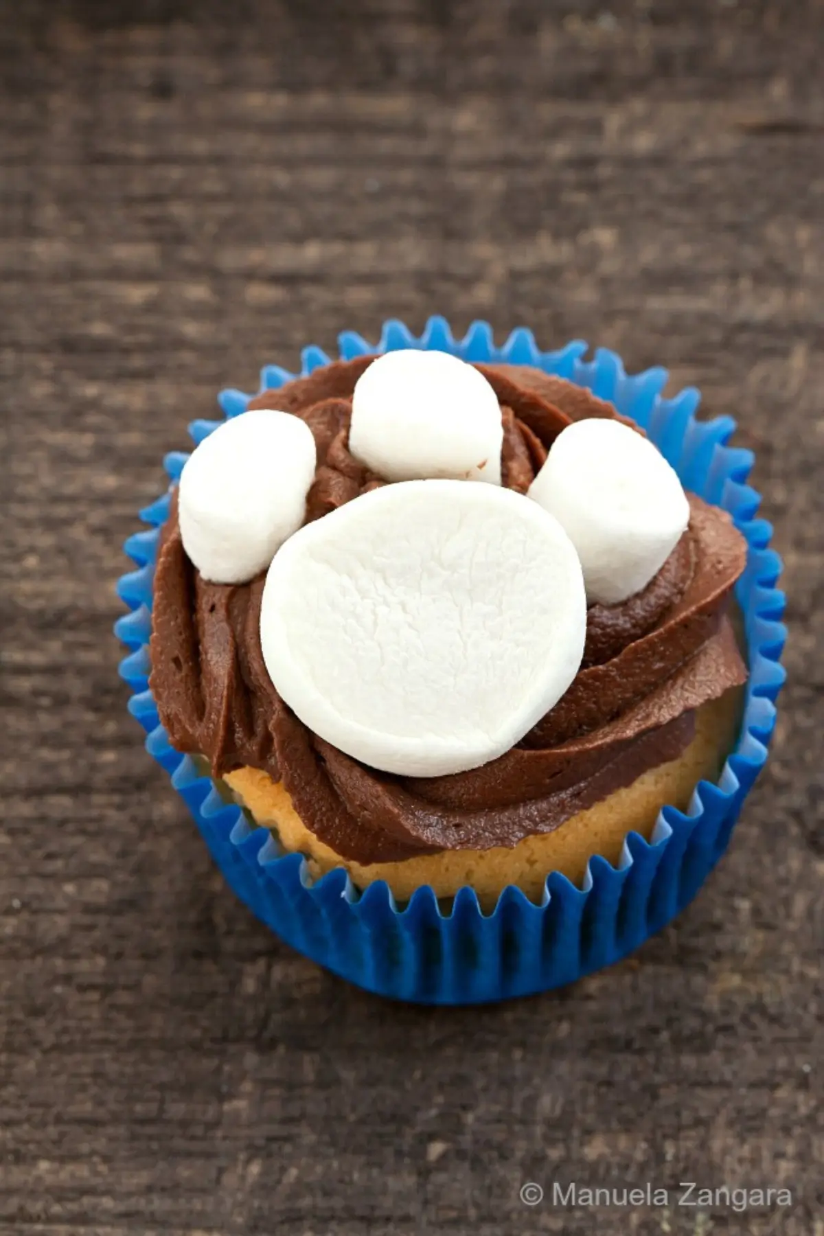 Paw print cupcake with Nutella icing and marshmallow decoration.