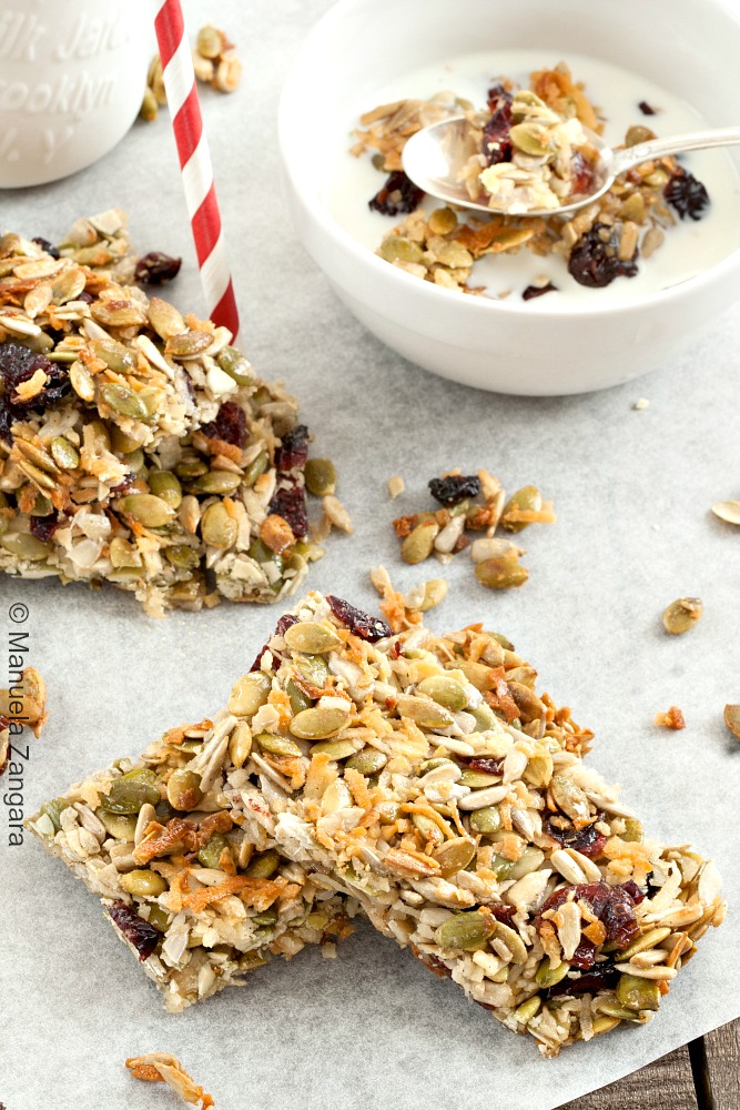 Seeded Cranberry Crunch Granola Bars