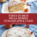 Torta di Mele della Nonna, a classic Italian apple cake with visible apple pieces and a soft crumb.