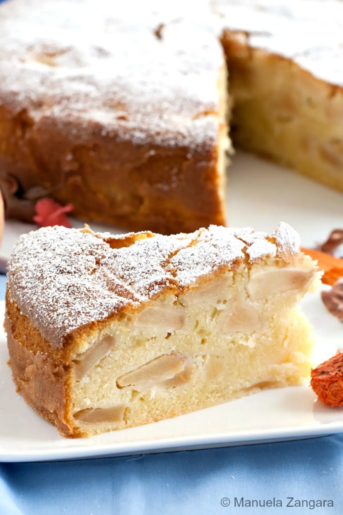 A slice of apple cake dusted with icing sugar on a white plate.