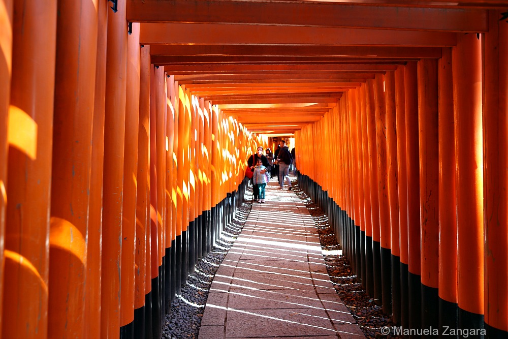 Nara and Fushimi Inari guide