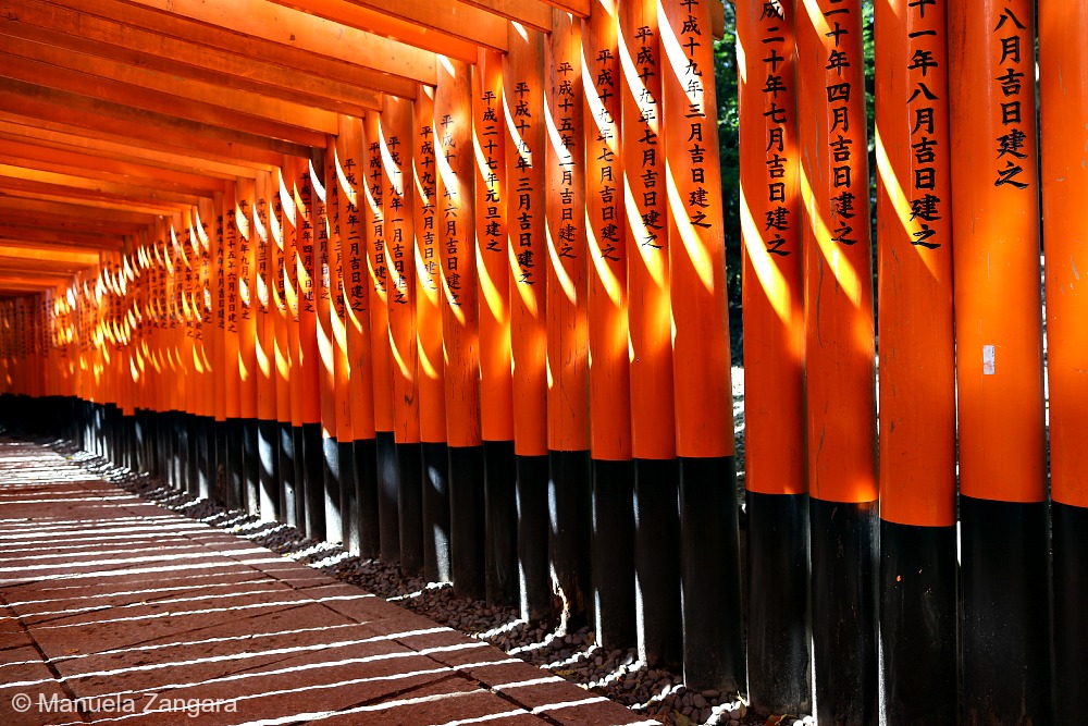 Nara and Fushimi Inari guide