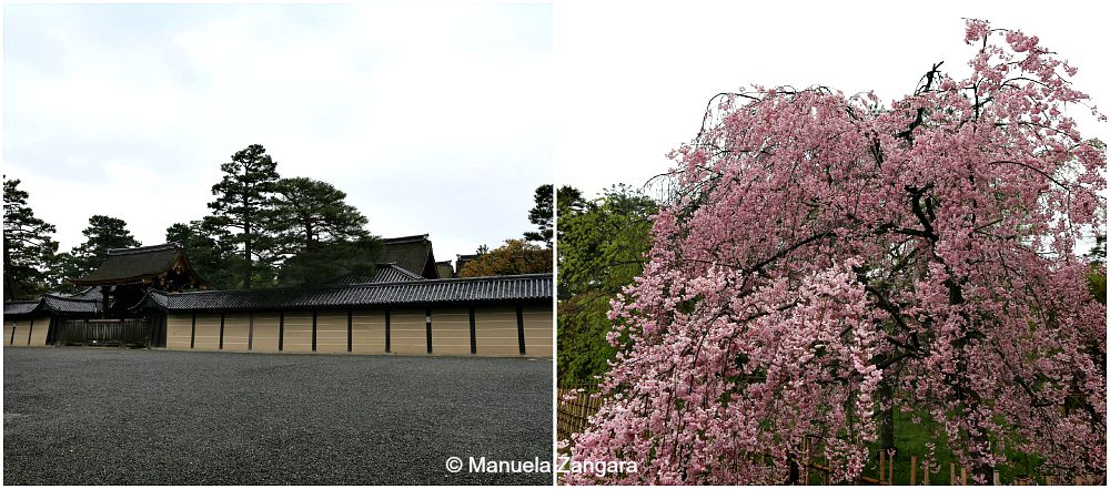 Imperial Palace - Kyoto