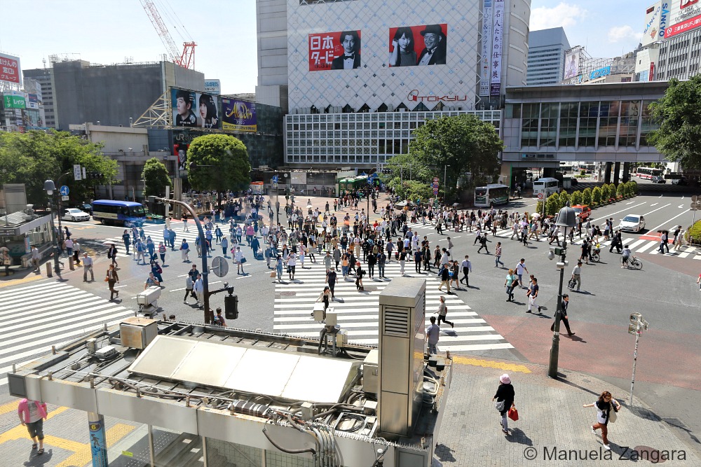 Shibuya Crossing