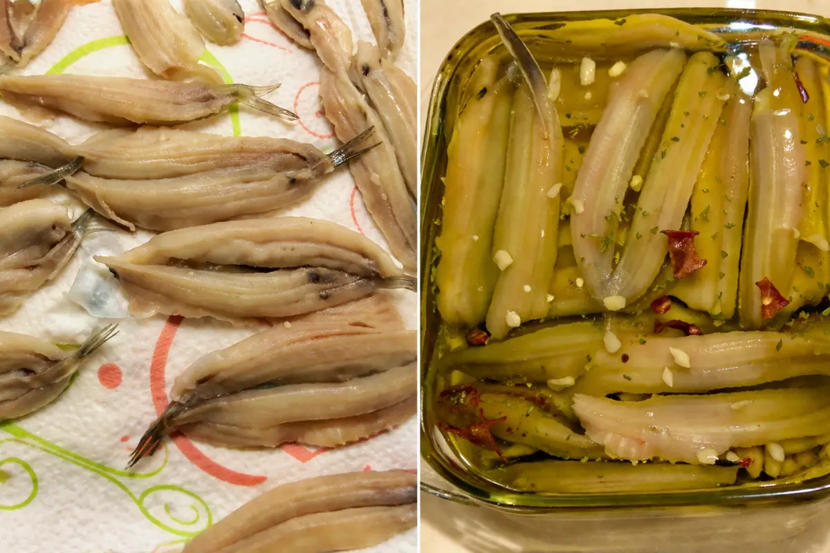 Butterflied anchovies drying on kitchen paper and later arranged in a dish with olive oil, garlic, parsley, and chilli.