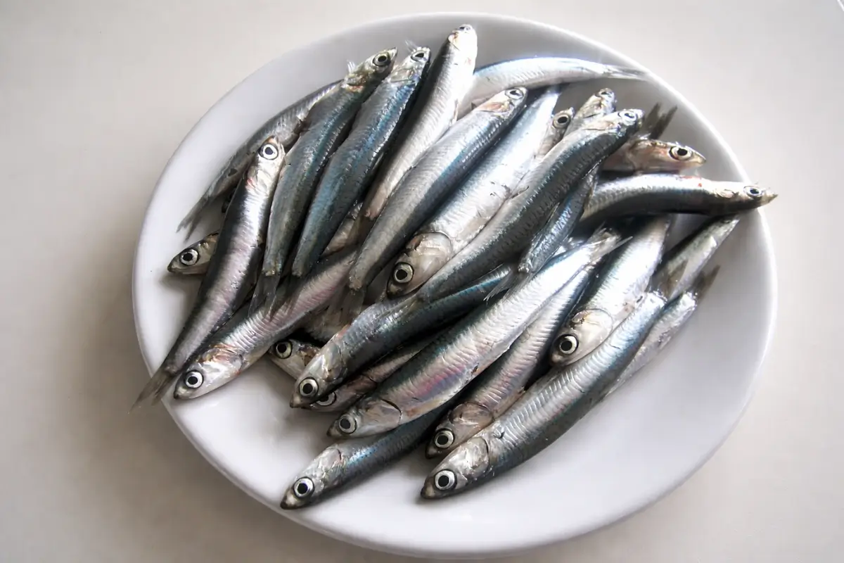 Fresh anchovies placed on a white plate.
