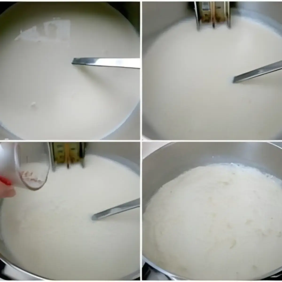 Goat’s milk being heated, acid added, and curds forming in the pot.