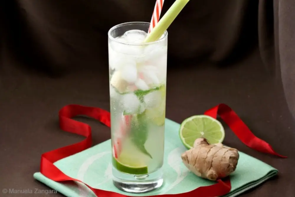 Tall rum cocktail with lime wedges, fresh mint, crushed ice, and a lemongrass garnish.