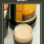 Close-up of a Baby Guinness layered shot highlighting the contrast between Baileys and Kahlua.