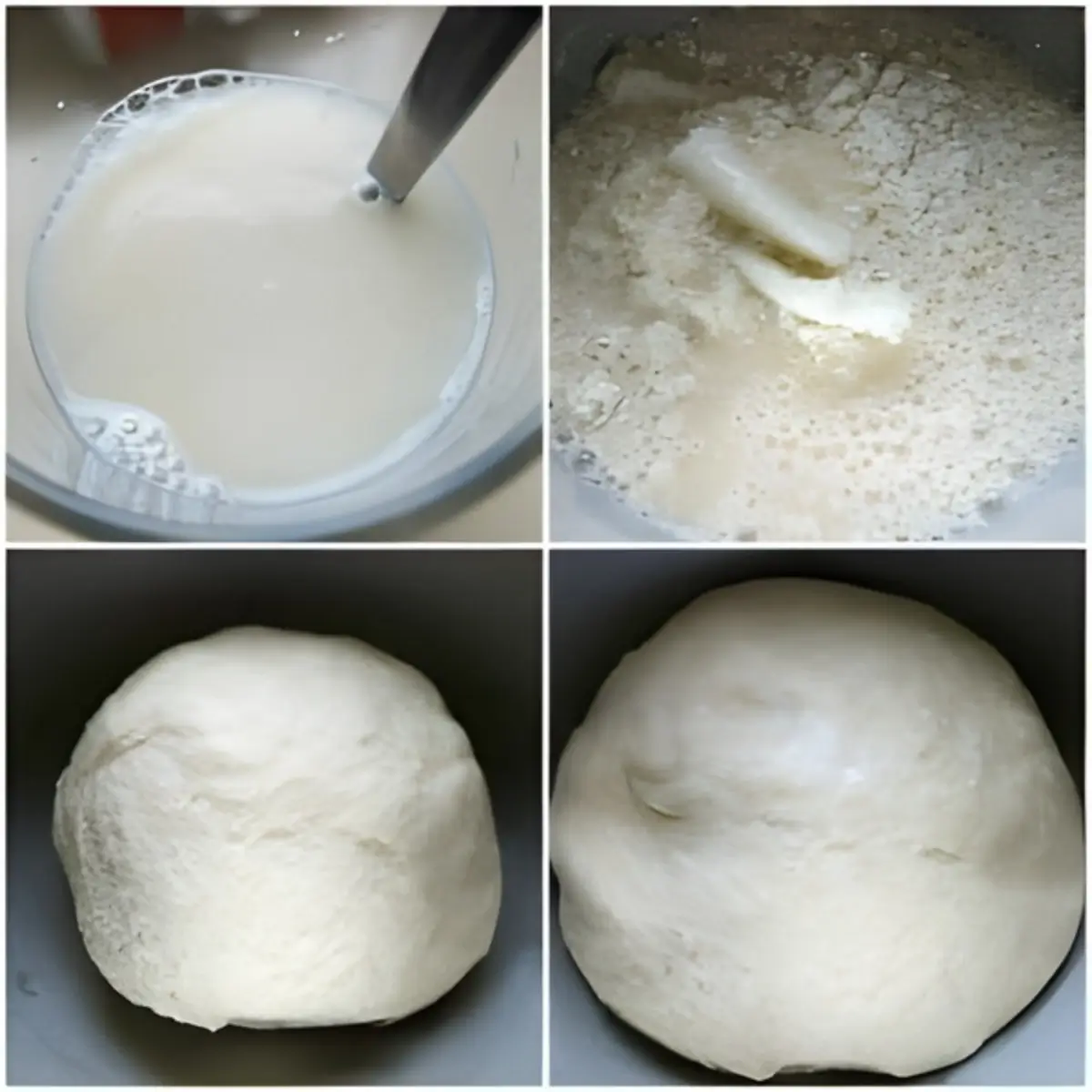 Yeast mixture turning frothy and dough kneaded, then shaped and risen in mixer bowl.