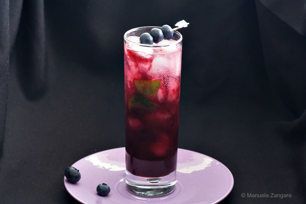 Blueberry Lavender Mojito