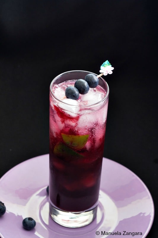 Blueberry Lavender Mojito