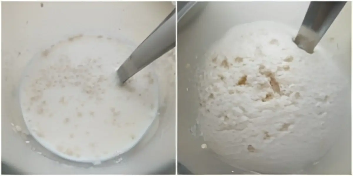 Yeast activating in lukewarm milk before mixing.