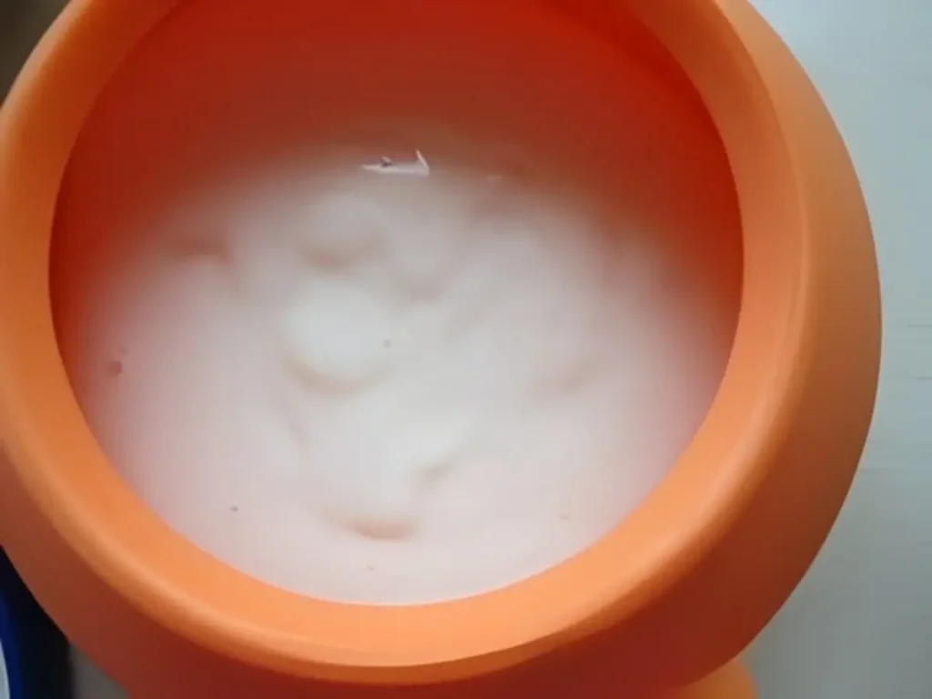 Close-up of the Cipriani sauce in a small bowl.