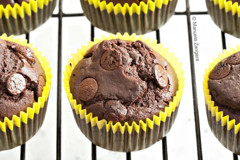 Top view of dairy-free chocolate muffins showing domed tops and chocolate chips.