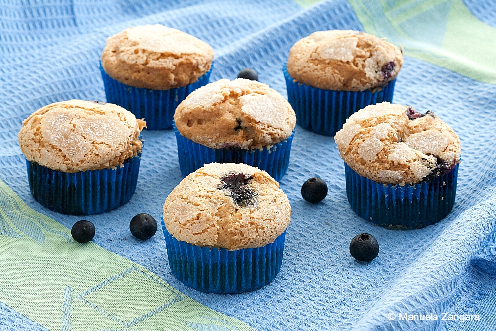 Low Fodmap Blueberry Muffins