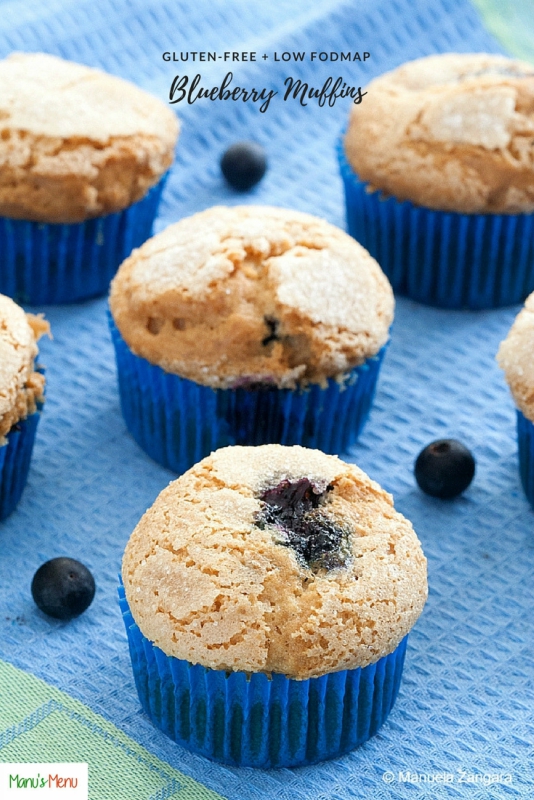 Low Fodmap Blueberry Muffins