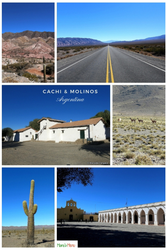 Cachi and Molinos Guide - Argentina