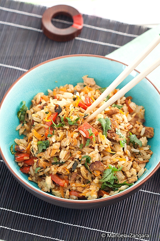 Low Fodmap Tuna Fried Rice