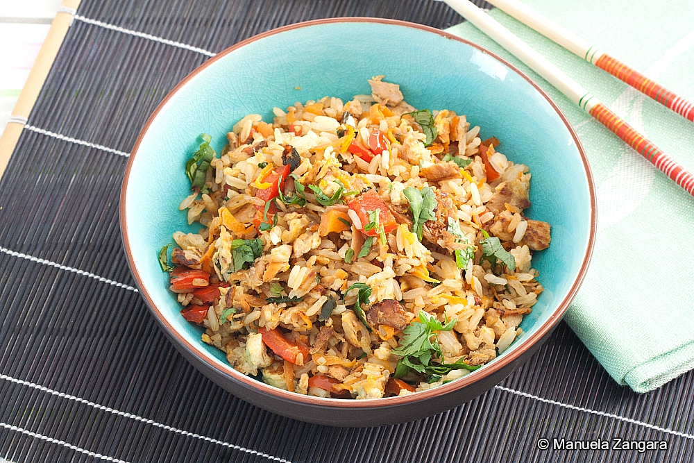 Low Fodmap Tuna Fried Rice