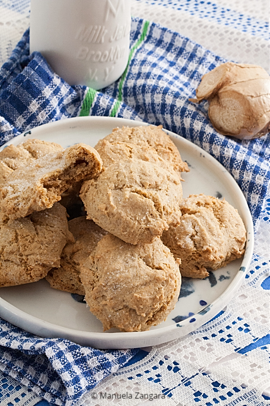 Low Fodmap Soft Ginger Cookies