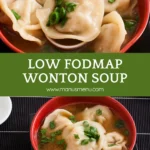 Bowl of Low FODMAP wonton soup topped with sliced green onion in a serving bowl.
