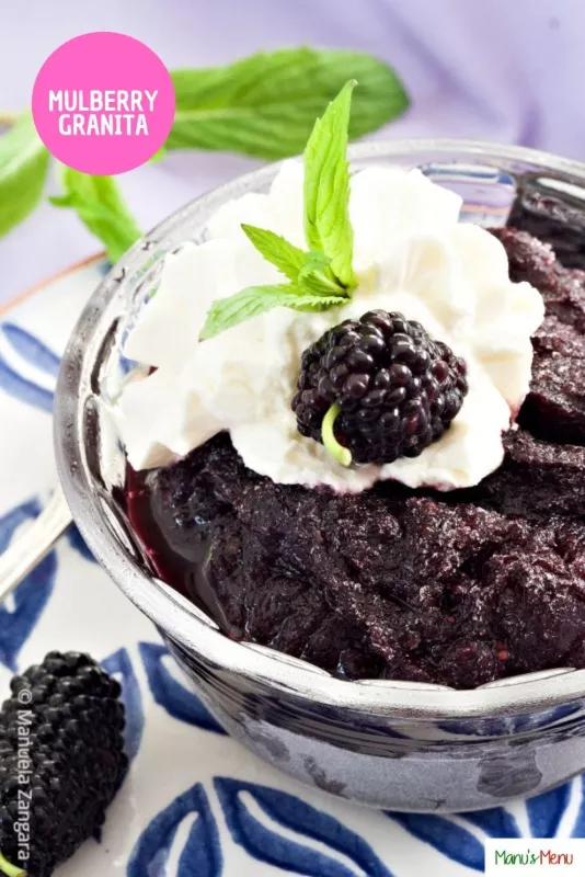 Mulberry granita topped with whipped cream and a fresh mulberry.