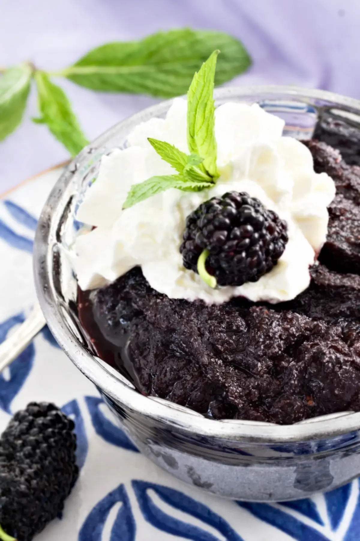 Mulberry granita topped with whipped cream, fresh mulberry, and mint leaves.